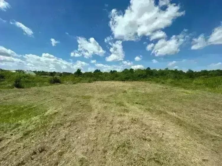 Teren de 1629 mp, în Băile Felix
