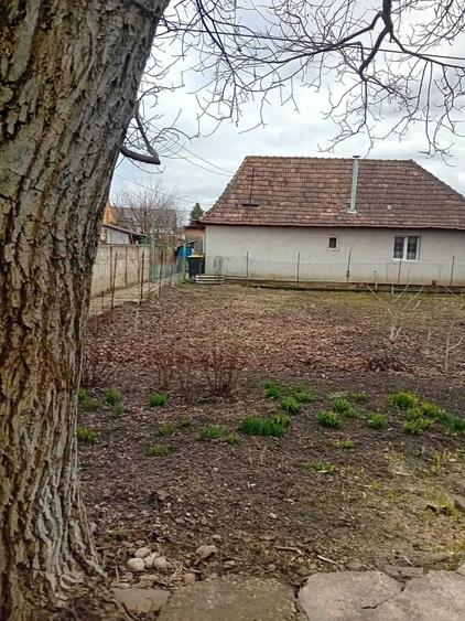 Casa de vanzare campia turzii - 1