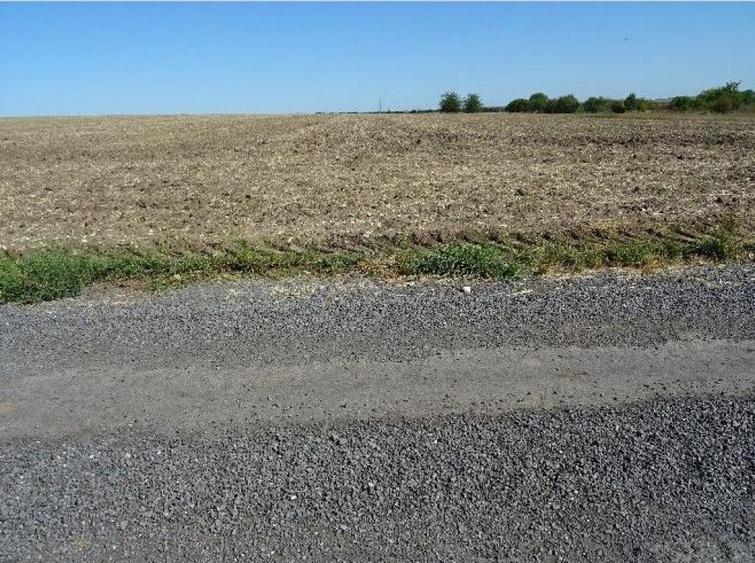 Teren de 5000 mp, în Valu lui Traian