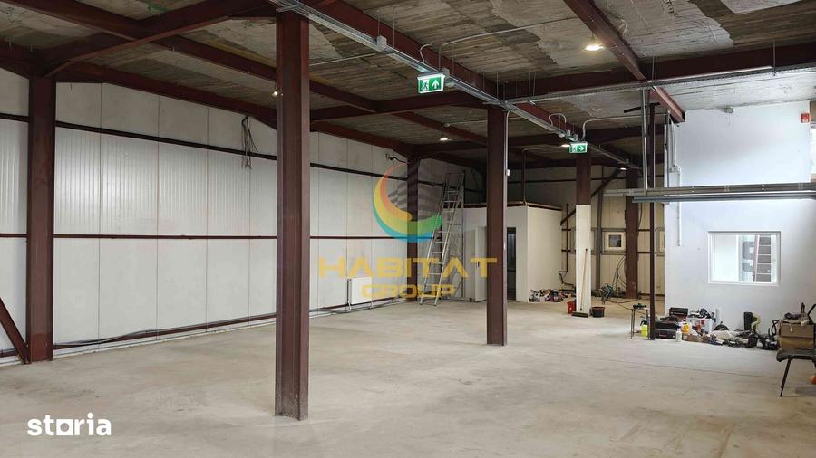 Hala industriala Spa?iu Birouri de inchiriat - 5