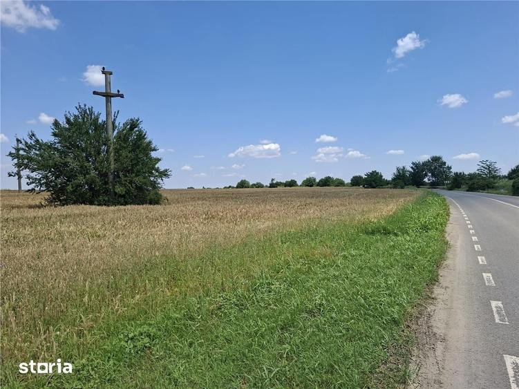 Teren de 10000 mp, în Tunari