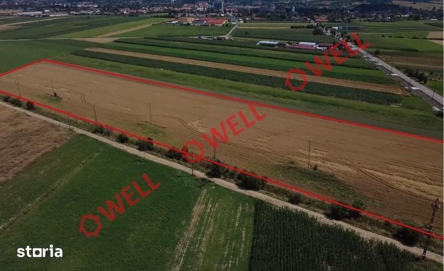 Teren de 25000 mp, în Central