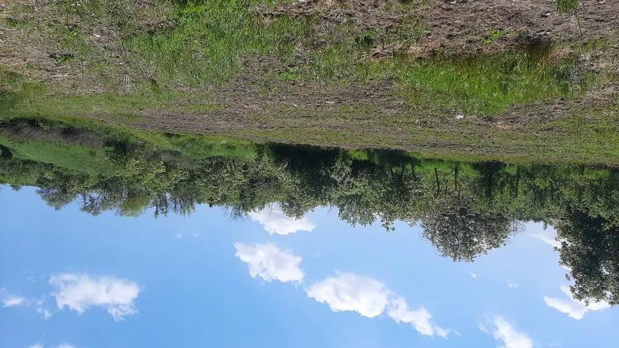 Teren de 7000 mp, în Poșta (Topliceni)