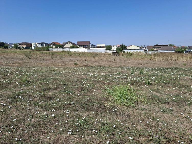 Teren intravilan 891 mp Valea lui Traian, utilitati, drum privat - 5