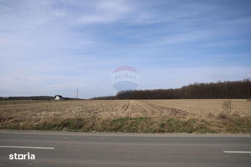 Teren de 9740 mp, în Bosanci