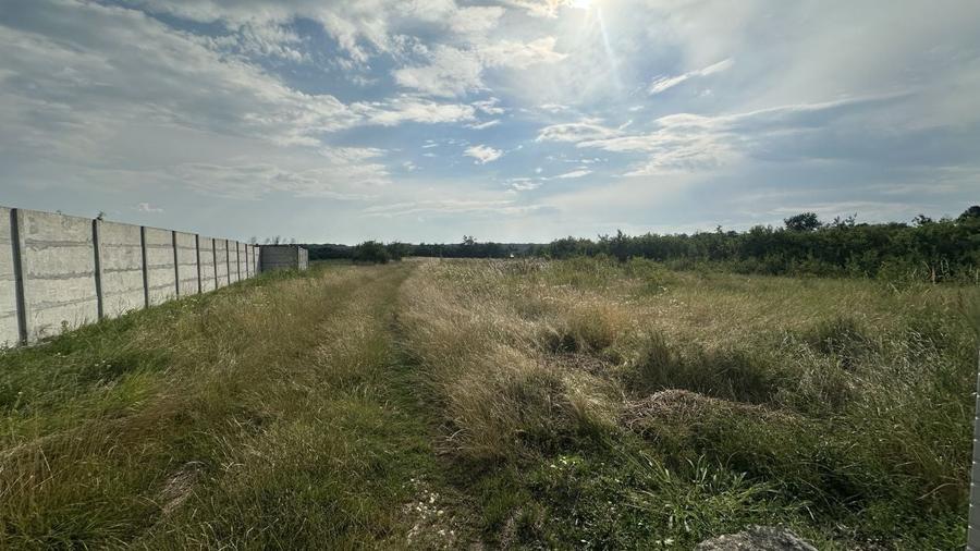 Teren Construcții intravilan de 530 mp, în Albota