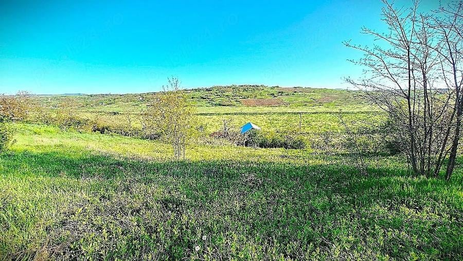 Casă cu Teren 1800 Mp în Cristești