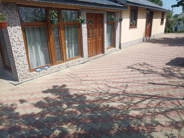 Casă cu Teren 1577 Mp în Dorobanțu