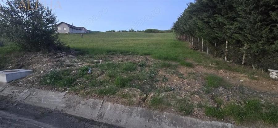 Teren de 5000 mp, în Crainimăt