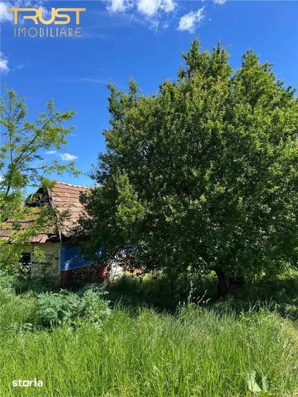Casă cu 1 camere cu Teren 3600 Mp în Cojocna