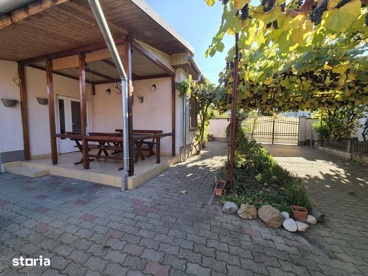 Casă cu 4 camere cu Teren 1249 Mp în Vladimirescu