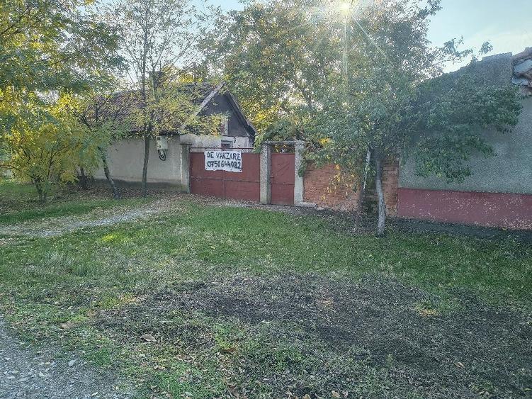 Casă cu Teren 2990 Mp în Iratoșu