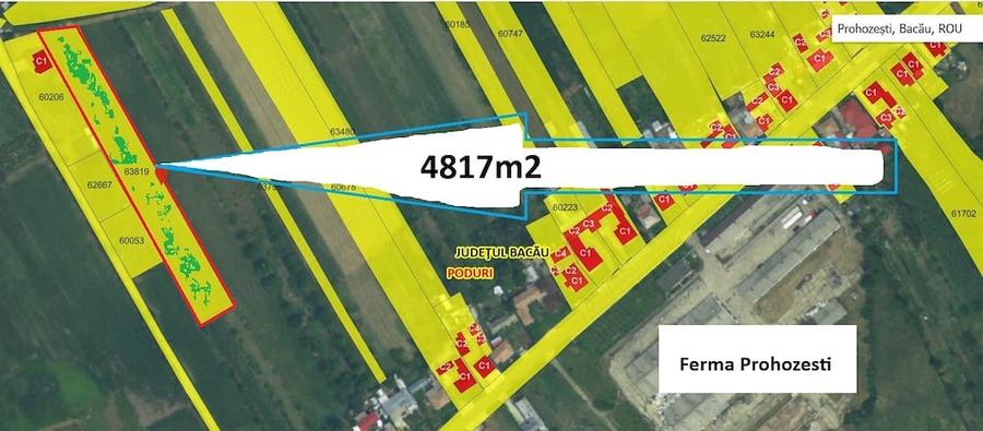 Teren de 14817 mp, în Prohozești