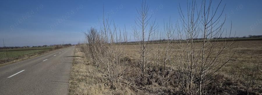 Teren de 36800 mp, în Scutelnici