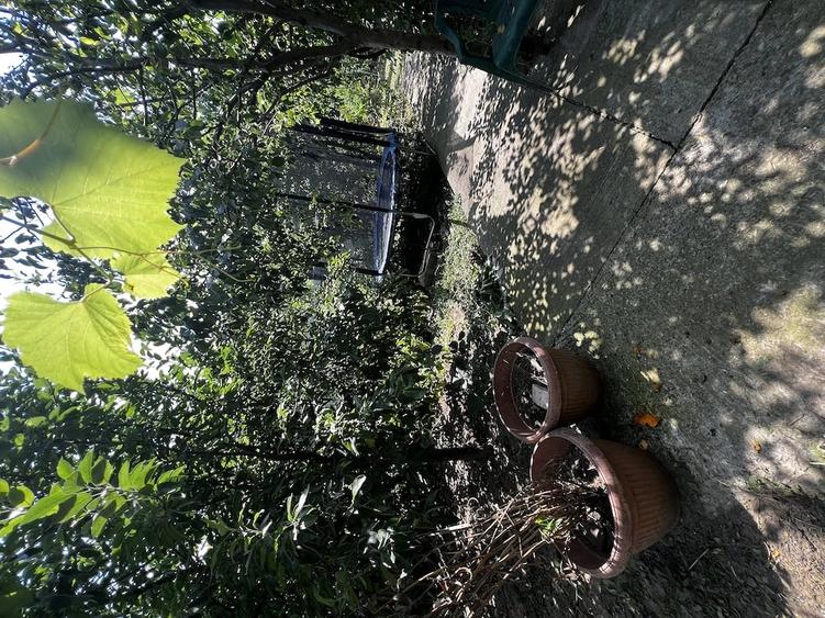 Casă cu 3 camere cu Teren 656 Mp în Malu