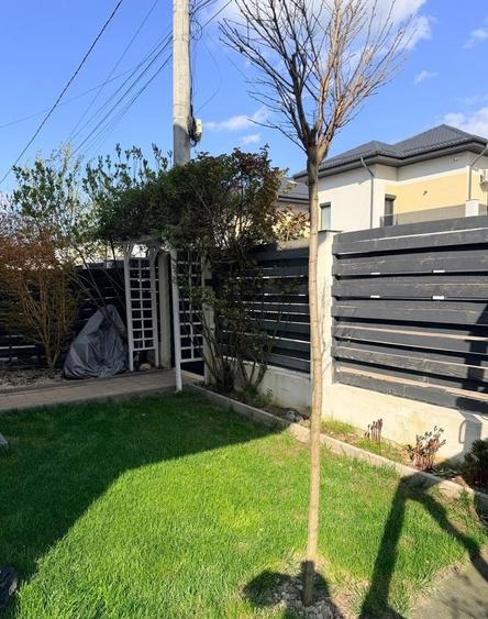 Vila Individuala 4 Camere I TUNARI I Foisor si Jacuzzi - 9