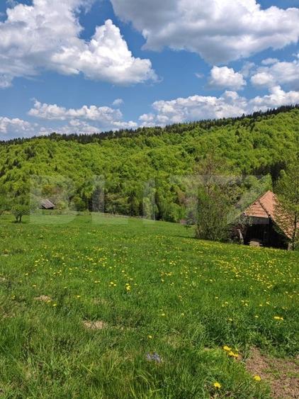 Teren Construcții intravilan de 3400 mp, în Bran