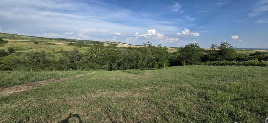 Teren de 2496 mp, în Brădești