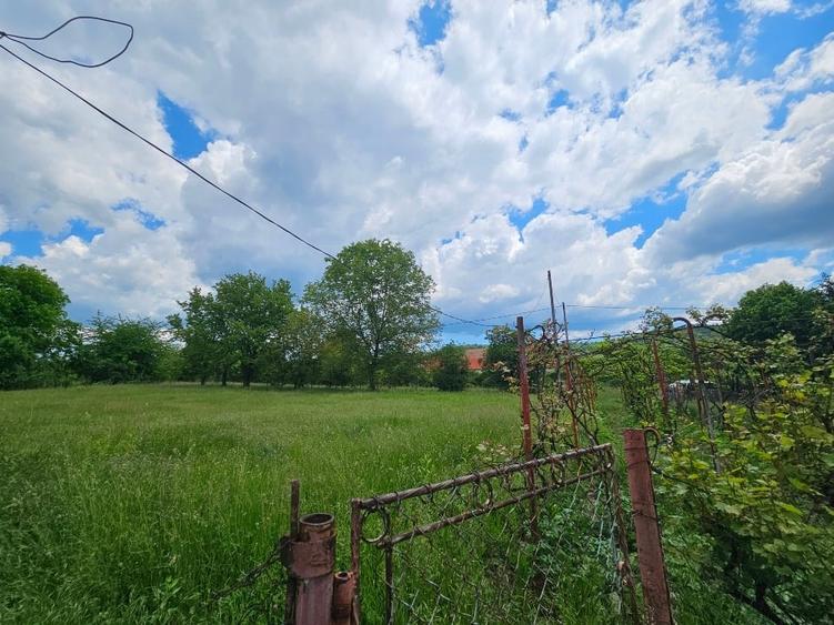 Teren Construcții intravilan de 12000 mp, în Valea Popii (Mihăești)