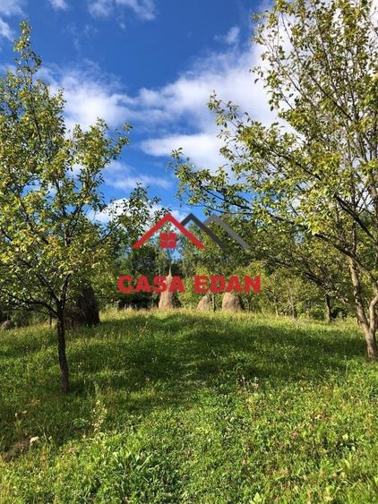 Teren extravilan de 9104 mp, în Brebu Mânăstirei