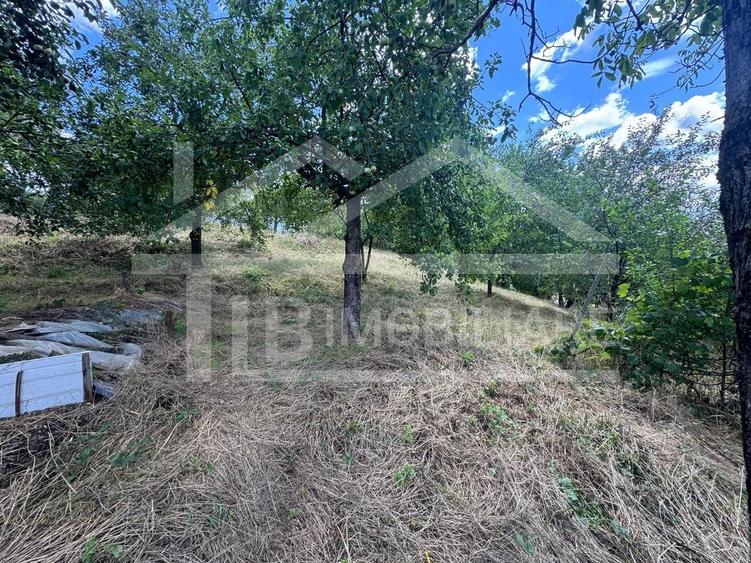 Teren Construcții intravilan de 2300 mp, în Diamant