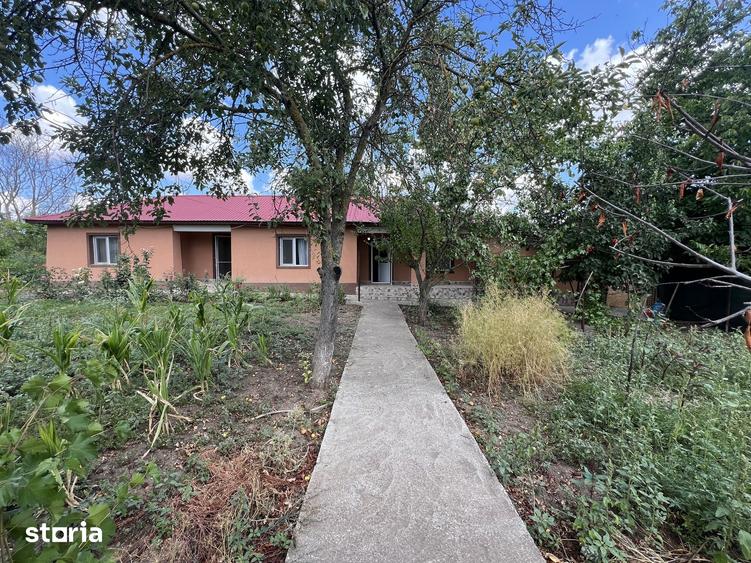 Casa individuala cu Gradina | Giurgiu - Valea Bujorului | Renovata - 4