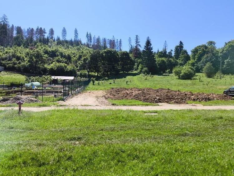 Teren de 2000 mp, în Cristian