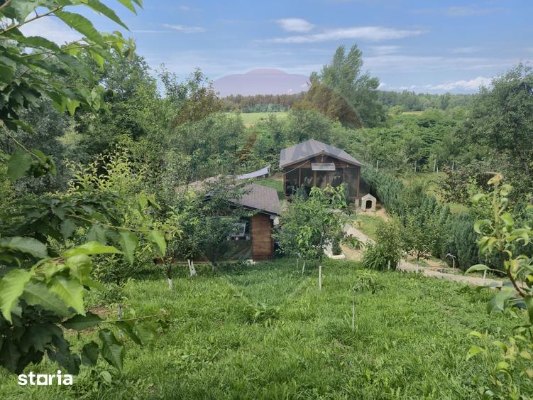 Casă cu 3 camere cu Teren 1268 Mp în Săpânța
