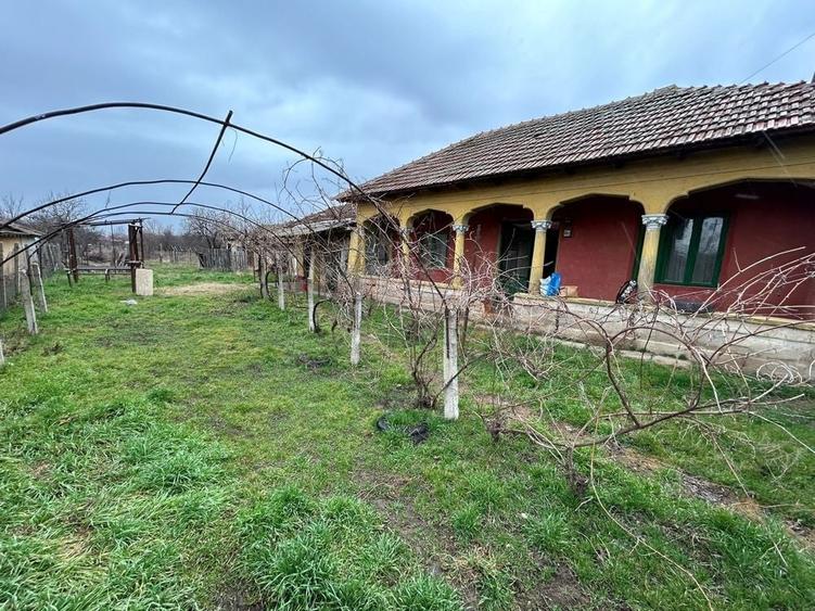 Casă cu 3 camere în Năsturelu