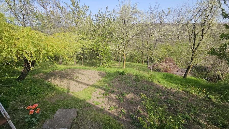 Casă cu Teren 800 Mp în Seciu