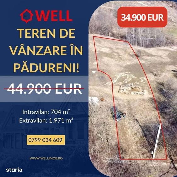 Spațiu comercial, în Pădureni
