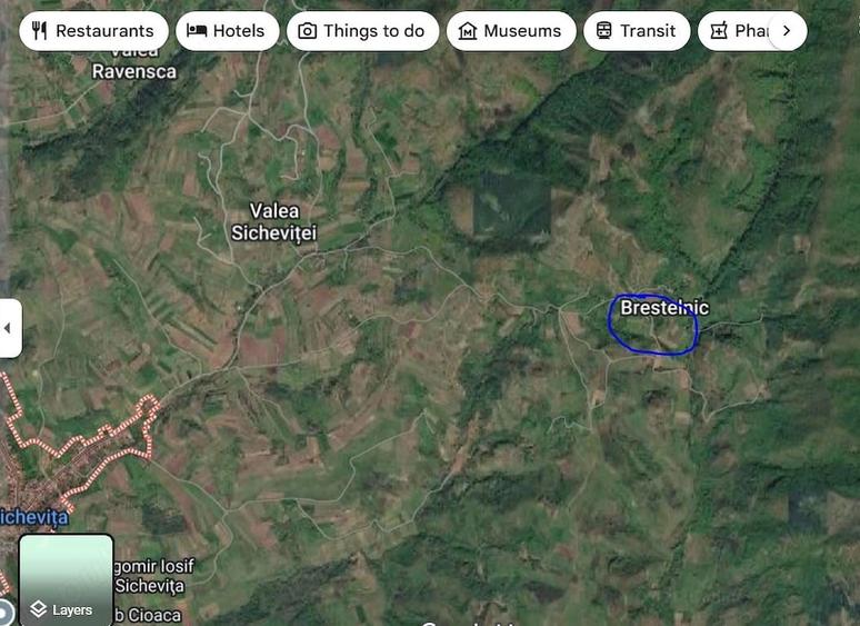 Teren de 70000 mp, în Brestelnic