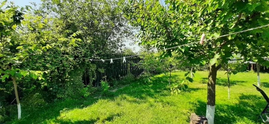 Casă cu 4 camere cu Teren 1101 Mp în Becicherecu Mic