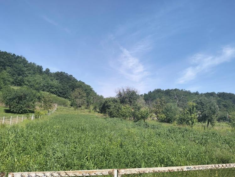 Casă cu 3 camere în Stejar