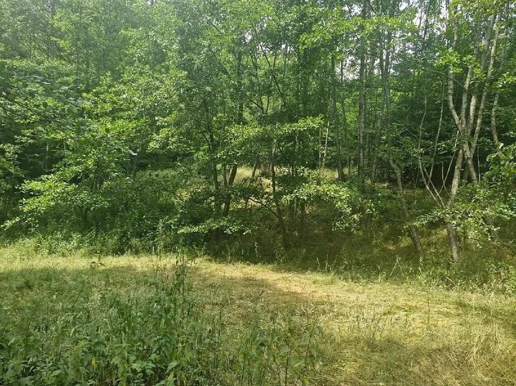 Casă cu Teren 1800 Mp în Anini