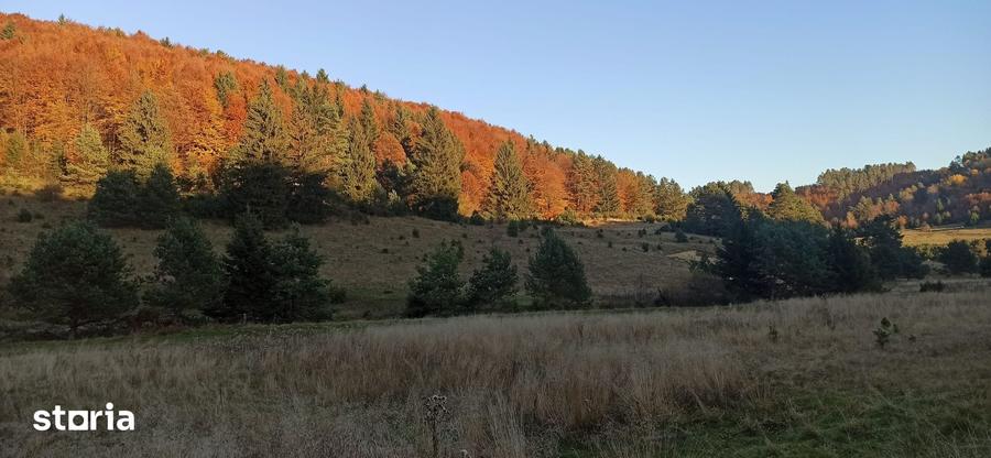 Teren de 1810 mp, în Brebina