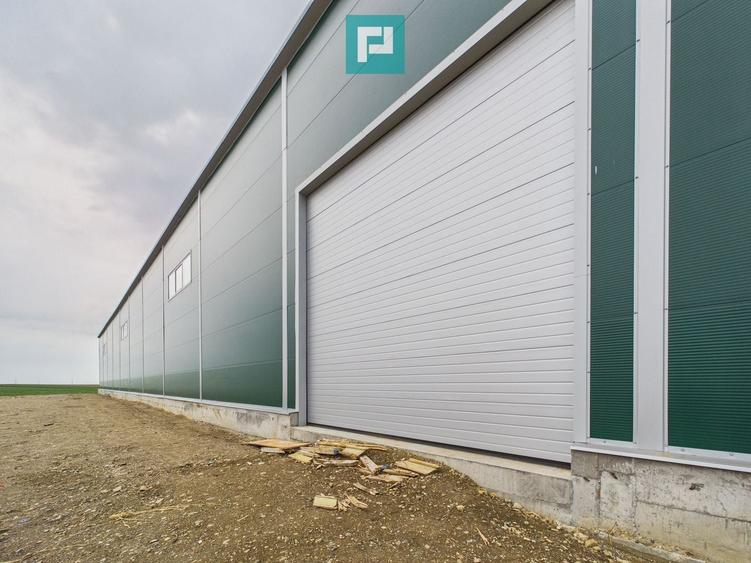 Spațiu industrial, de 563 mp, în Sânandrei