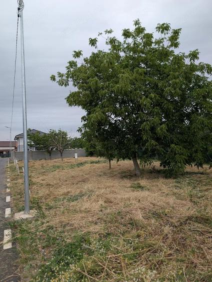 Teren Giarmata , zona primaverii 628 mp - 6