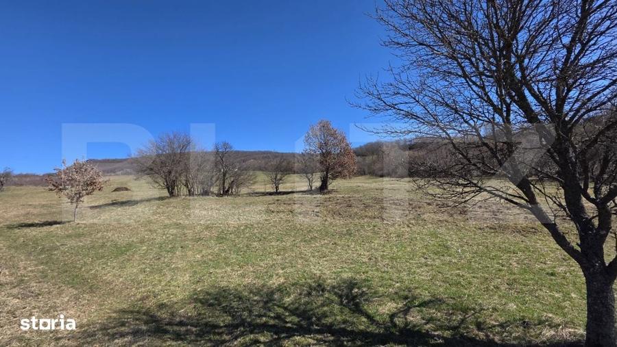 Teren de vanzare de 8,567MP in zona: Tarpiului - 10