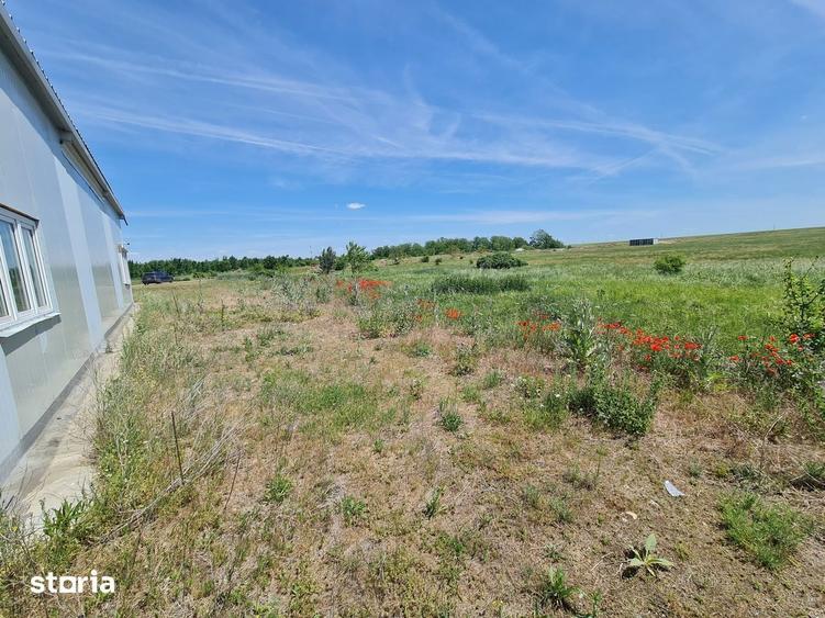 Spațiu comercial, de 40,000 mp, în Șagu
