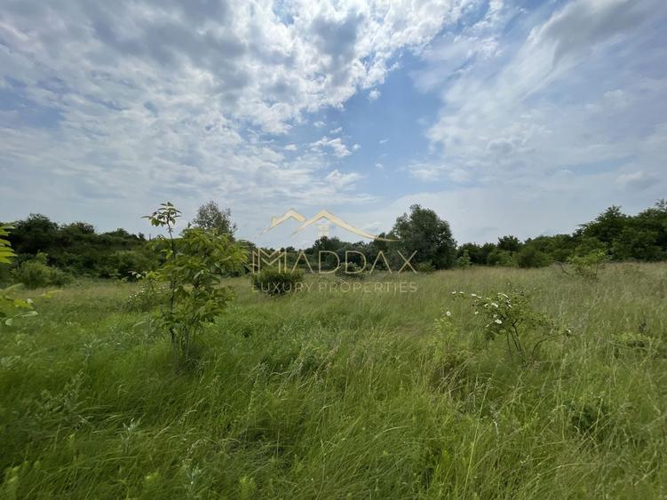 Teren Construcții intravilan de 1439 mp, în Crețești