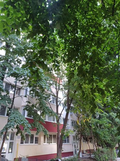 Apartament cu 2 camere decomandat în Brâncoveanu