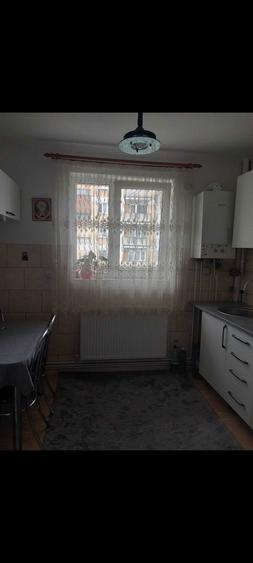 Apartamente de vanzare in localitatea Cavnic - 5