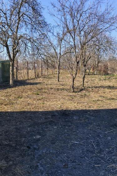Casă cu Teren 700 Mp în Central