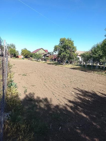 Teren de 1000 mp, în Nădab