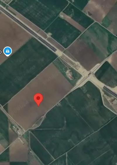 Teren de 16000 mp, în Clinceni