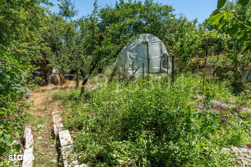 Casă cu 3 camere cu Teren 636 Mp în Brănești