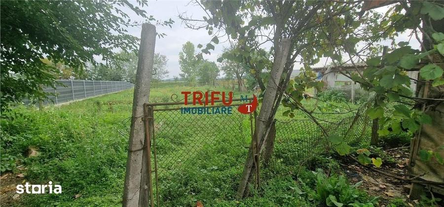 Casă cu 4 camere cu Teren 1504 Mp în Sântimbru