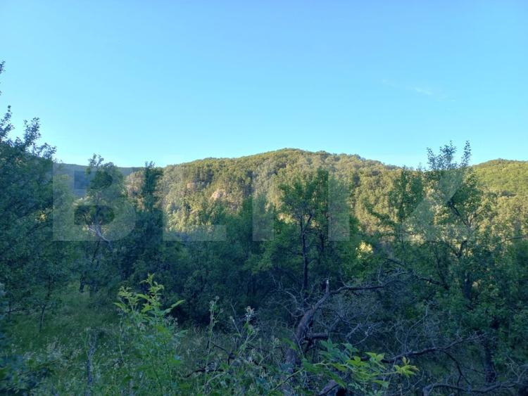 Teren Construcții intravilan de 4175 mp, în Vințu de Jos