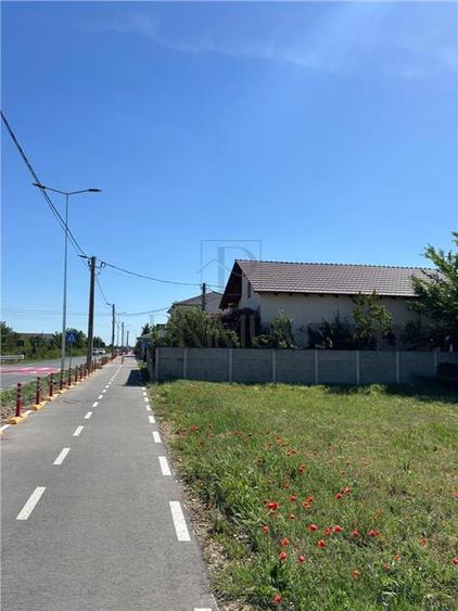 Teren intravilan- MOSNITA NOUA- TOATE UTILITATILE+ strada asfaltata - 2